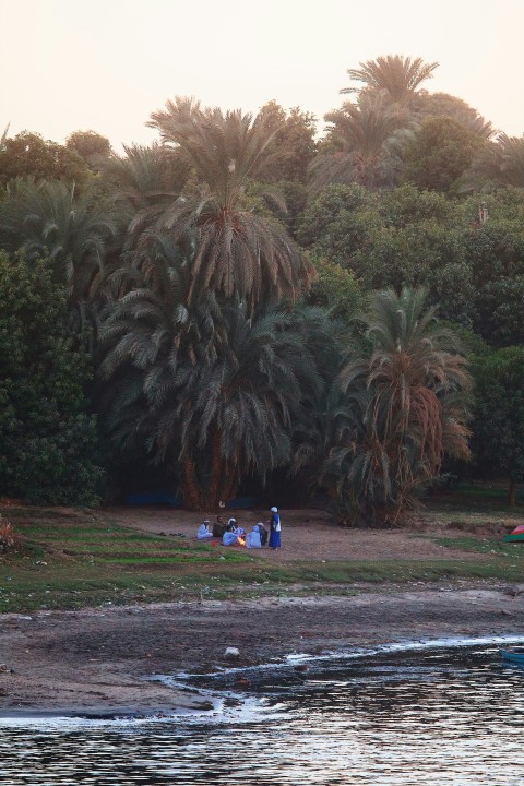 a group of people sitting on a beach next to a body of water