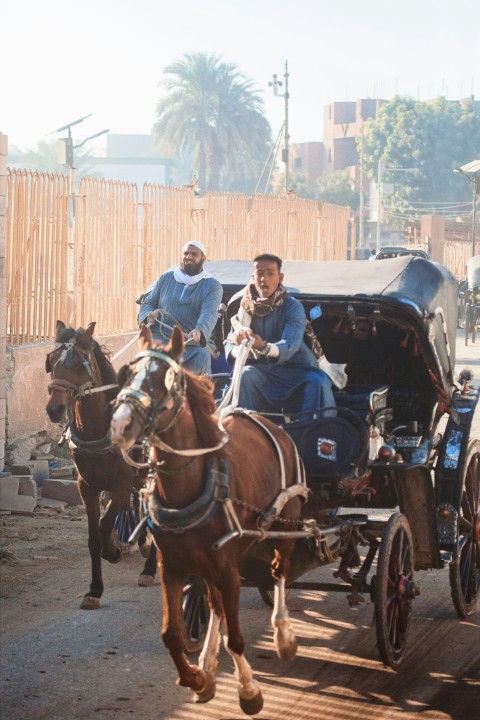 a group of people riding on the back of a horse drawn carriage