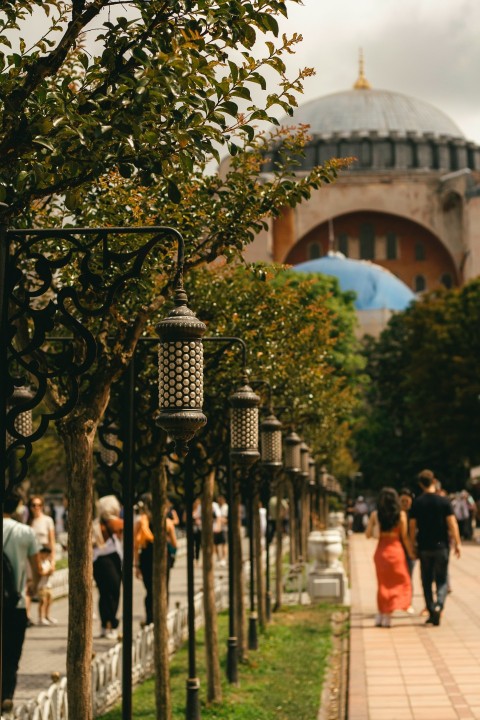 a group of people walking down a sidewalk next to trees