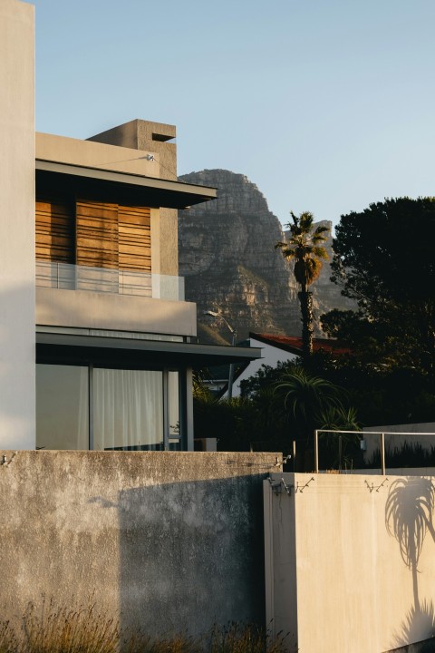 a tall building with a palm tree in front of it