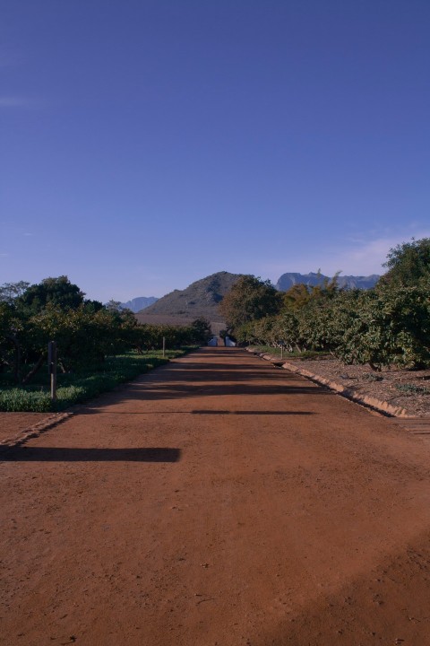 a long dirt road with trees and mountains in the background ZIxaKxbPh