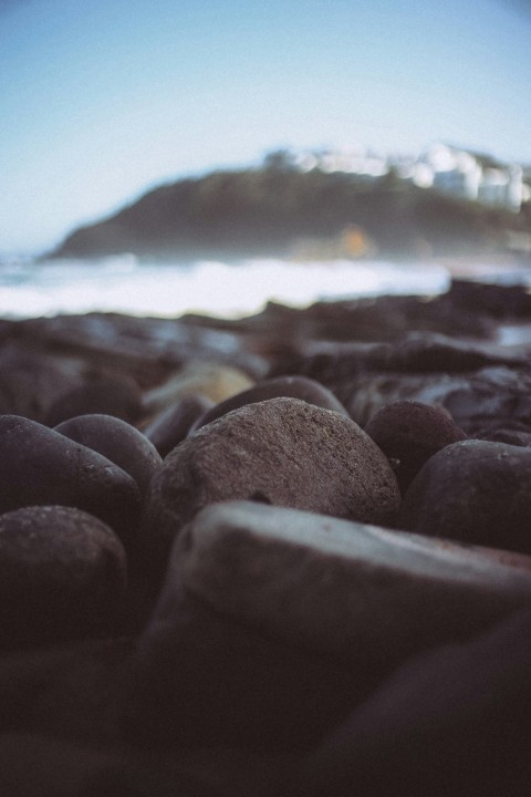 closeup photo of pebbles