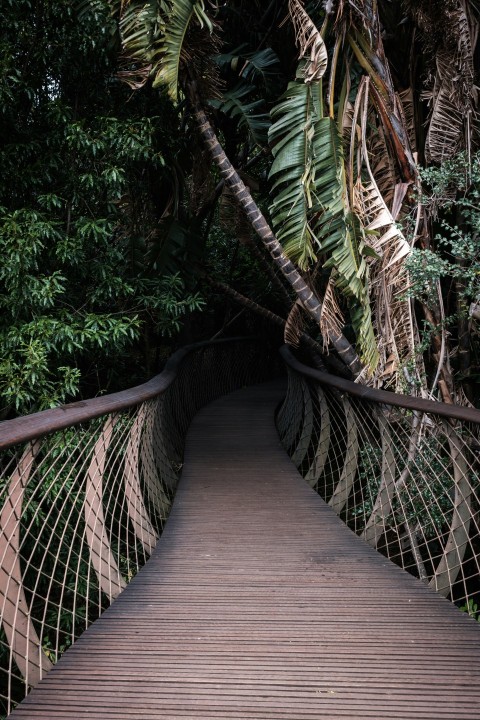 a wooden bridge with trees on either side of it FZj1EL