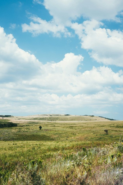 green grass field under white clouds and blue sky during daytime