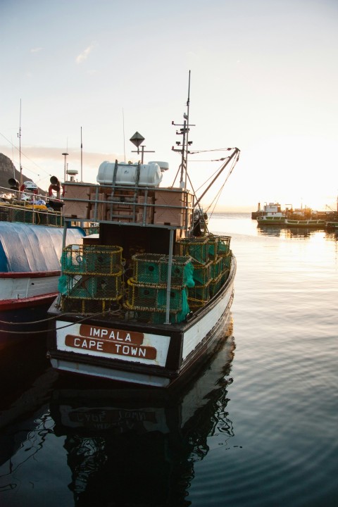 white and black imapala cape town fishing boat on body of water during sunrise