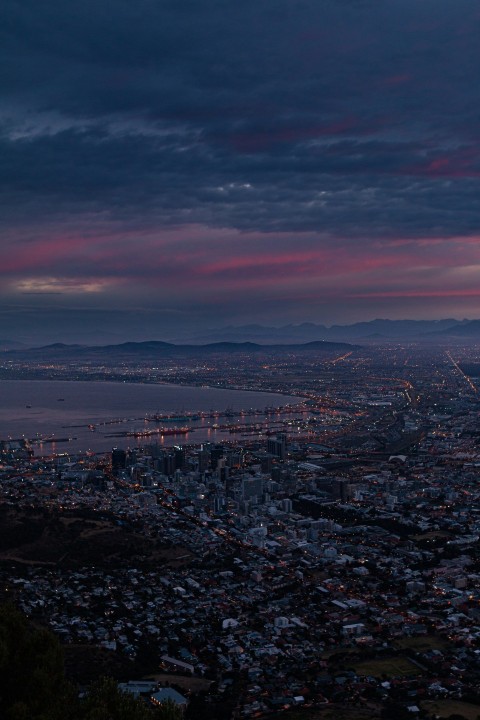 birds eye photography of city