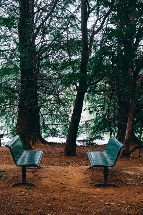 a bench sits unoccupied