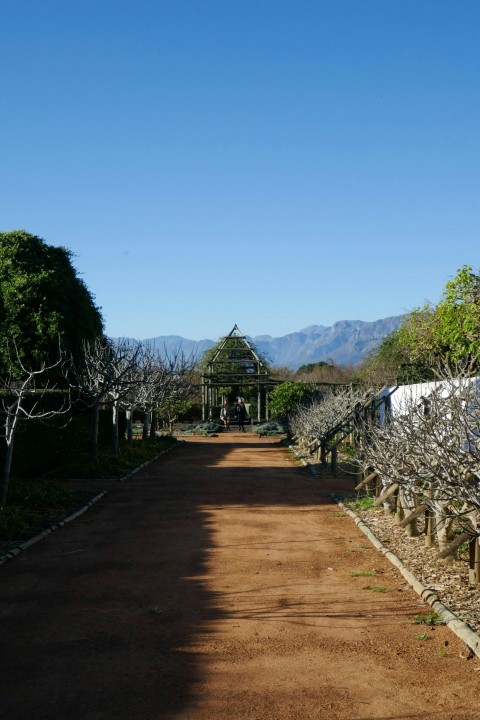 a dirt road with trees and a gazebo in the distance