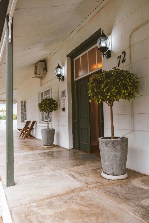 a porch with a potted plant on the side of it