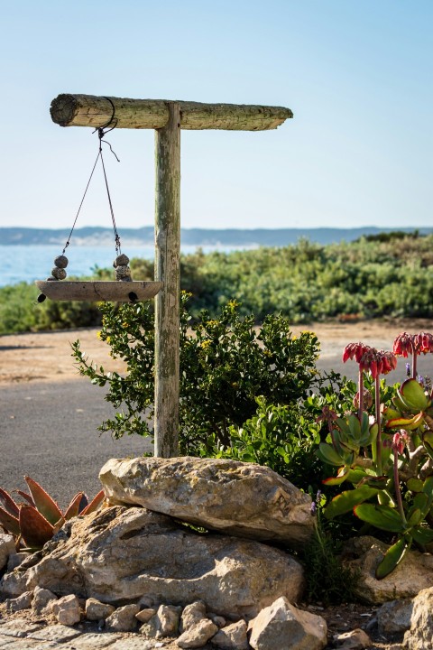 a bird feeder sitting on top of a rock covered ground