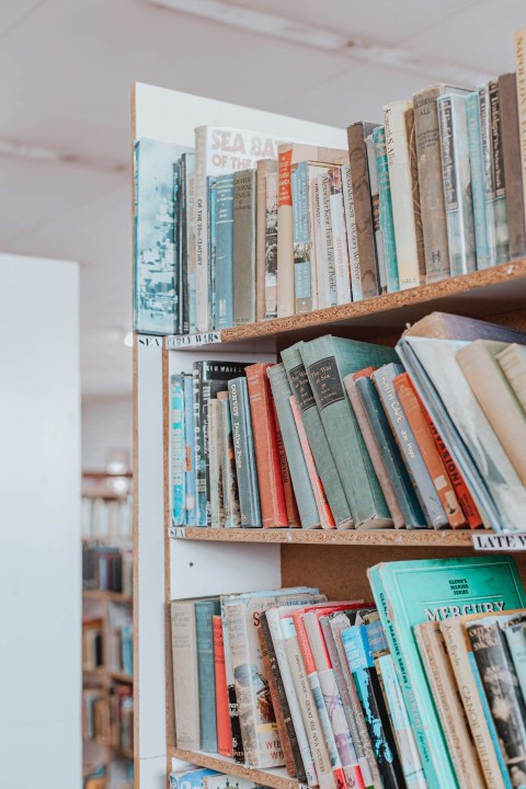 a shelf with books on it