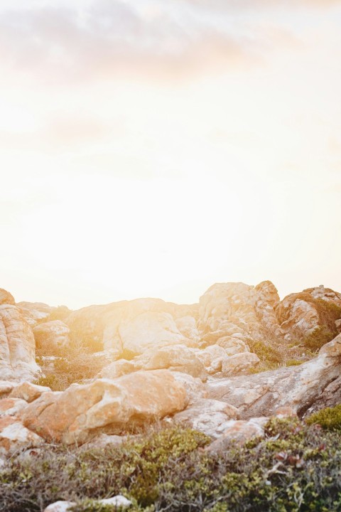 brown rock formations under white sky FB