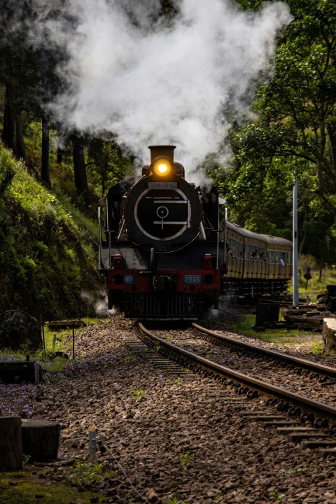 a train on the railway tracks