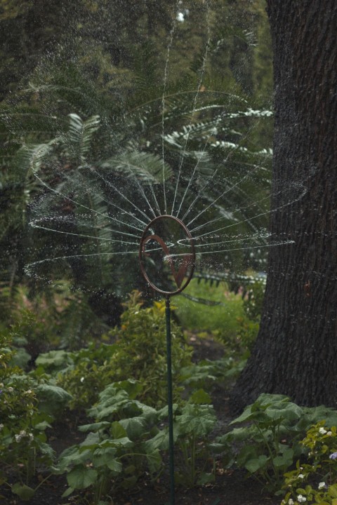 a sign in a forest