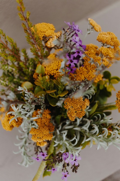 yellow and purple flowers in white ceramic vase GGfcduE