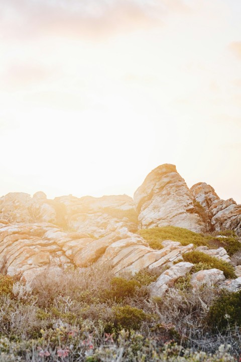 brown rock formations under white sky