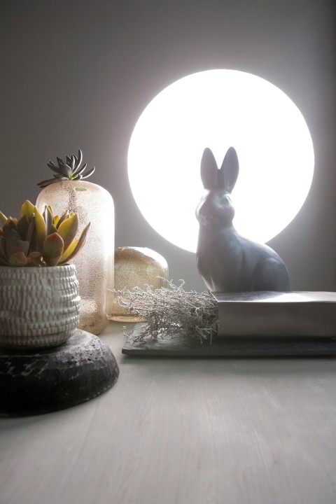 a small rabbit sitting on a table next to a potted plant VvXP2G