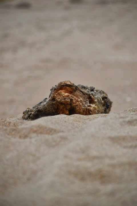 a rock sticking out of the sand on a beach 9XRCI Lyq