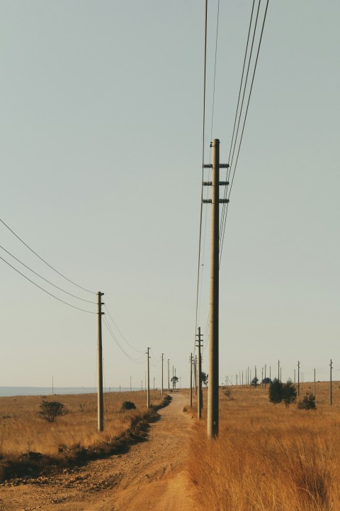 brown electric post on brown field under white sky during daytime