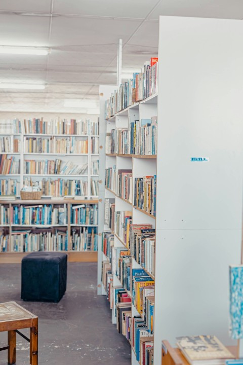 a room with shelves of books