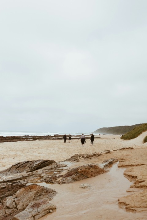 people walking on brown sand beach during daytime