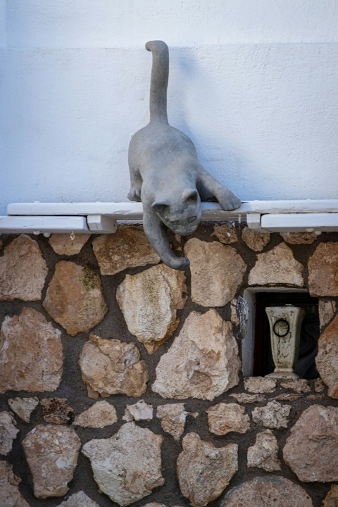 a cat climbing up the side of a stone wall