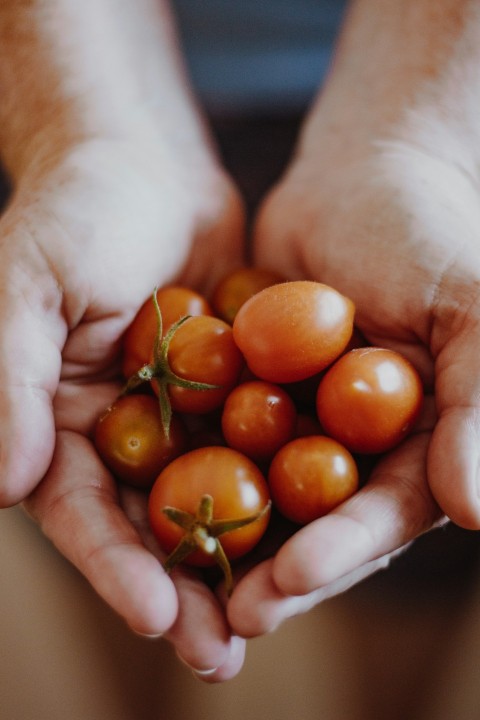 orange fruits on persons hand