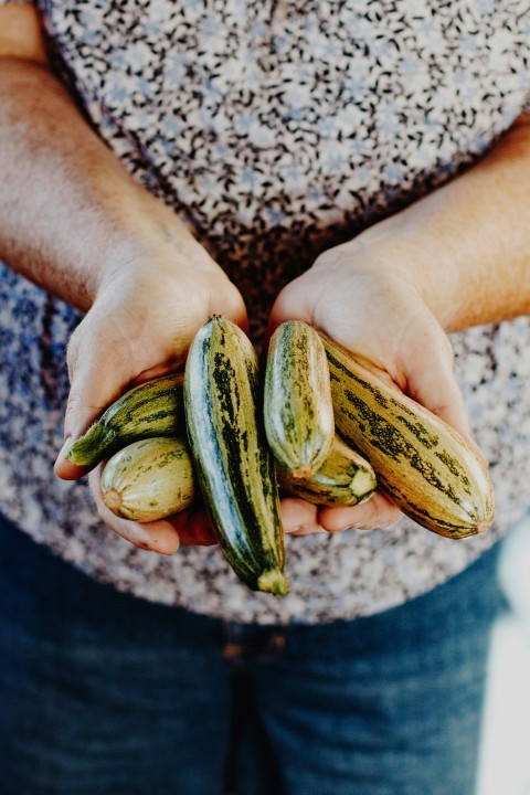 person holding green cucumber during daytime