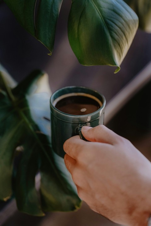 a person holding a cup of coffee in their hand