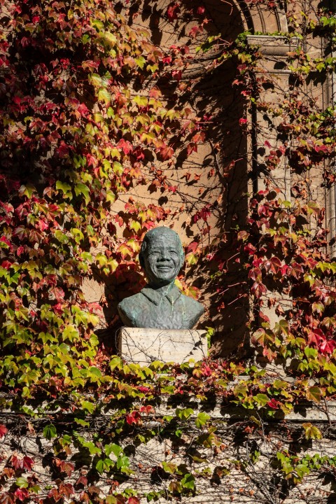 a statue of a man surrounded by vines n9