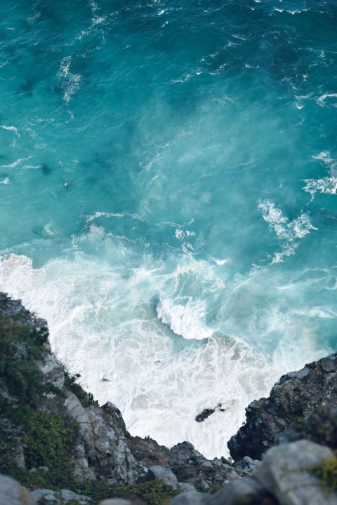 a bird sitting on a rock near the ocean