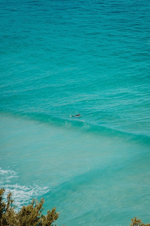 person surfing on sea waves during daytime