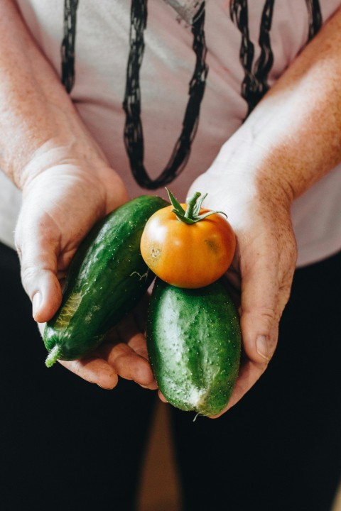 person holding green cucumber and tomato