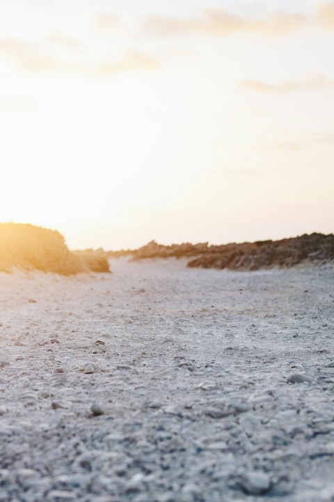 field covered with snow under white sky