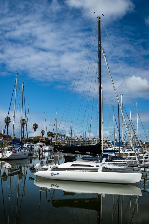 white sail boats on sea dock under blue sky during daytime