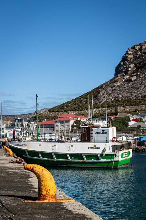 a green and white boat docked in a harbor