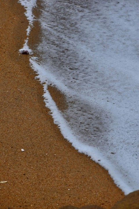 a bird is standing on the sand near the water 55dwhzRK