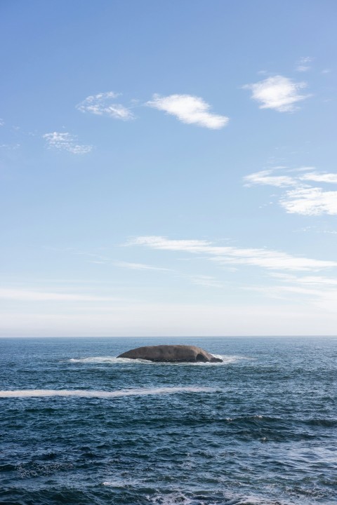 a small island in the middle of the ocean