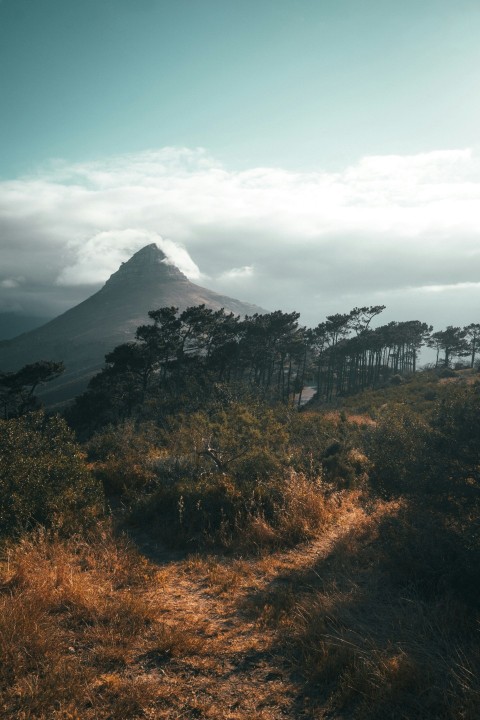 green trees near mountain under white clouds during daytime