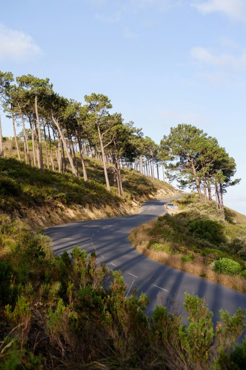 landscape photography of a road going up a hill ooMzDe