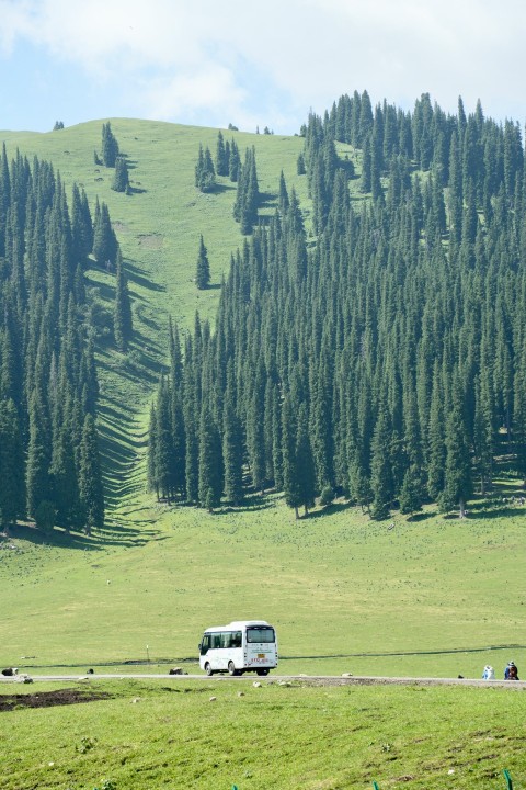 a white bus driving down a road next to a lush green hillside