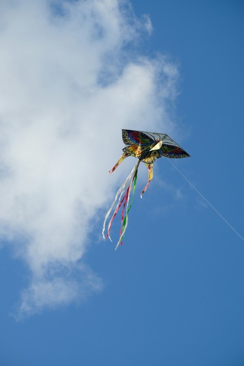 a kite flying high in the blue sky