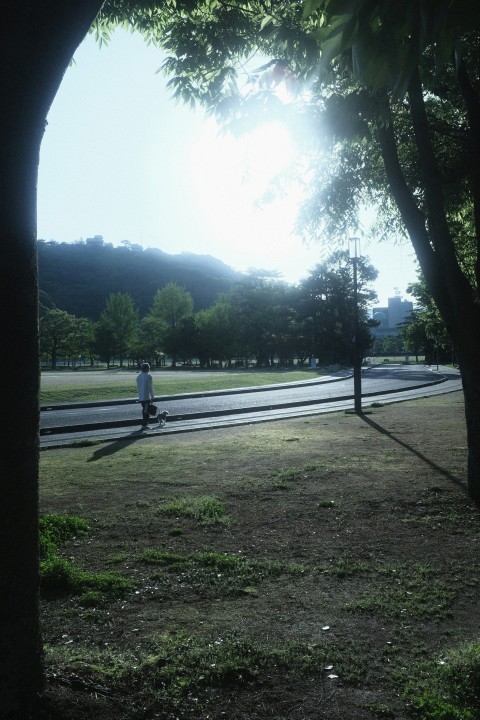 a person walking in a park next to trees