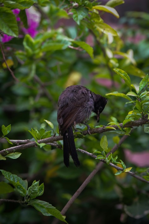 a small bird sitting on a branch of a tree