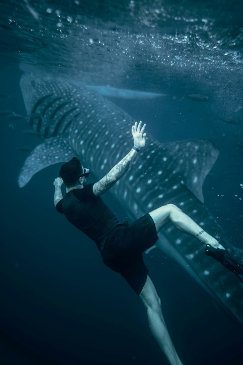 a woman swimming next to a whale in the ocean szOdiNJsO