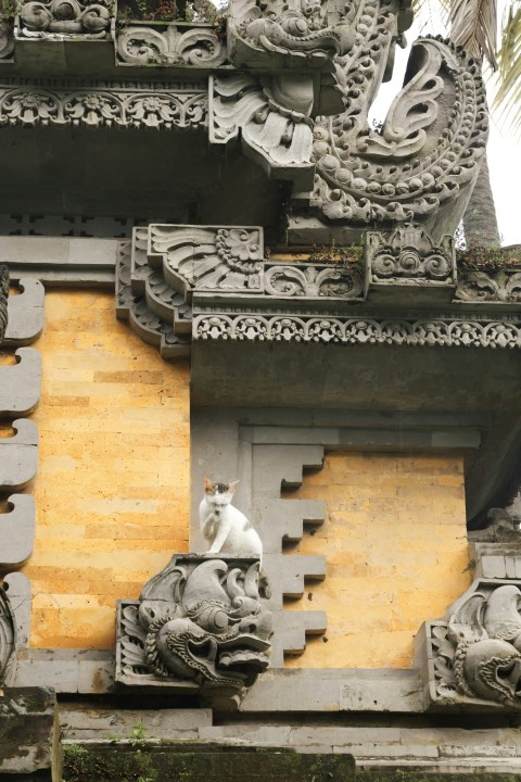 a close up of a building with sculptures on it