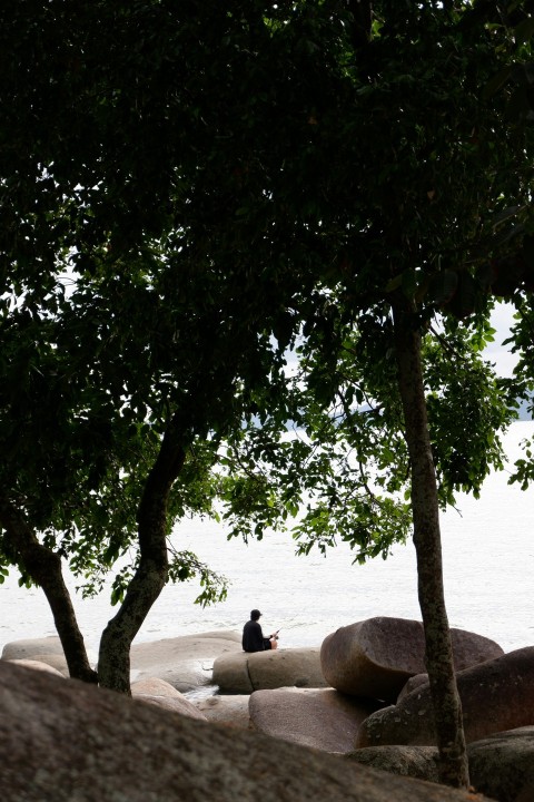 a person sitting on a rock near a body of water