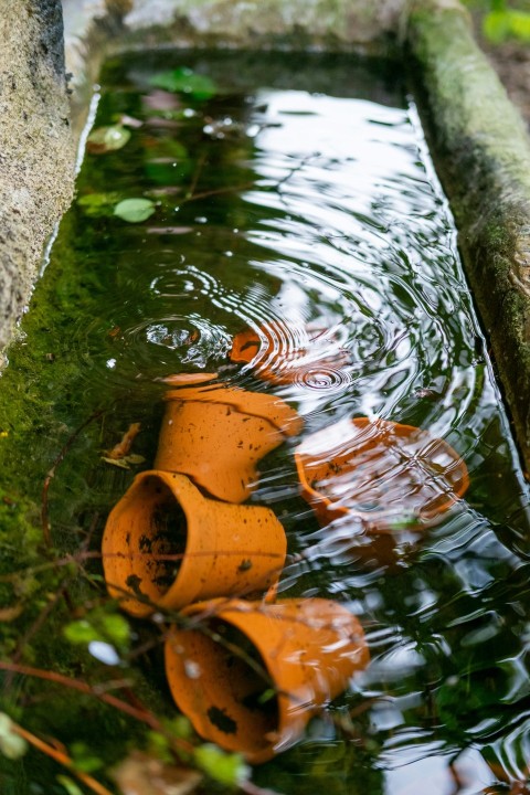 an orange fire hydrant sitting in the middle of a stream of water