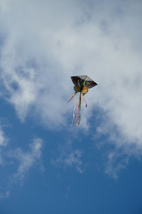 a kite is flying high in the sky