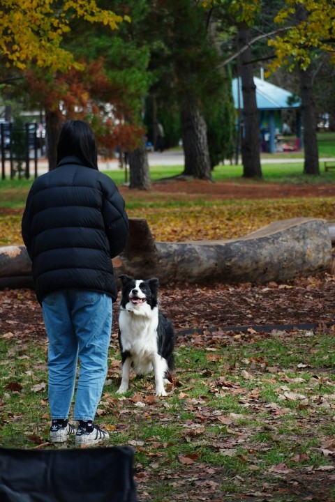 a person and a dog in a park